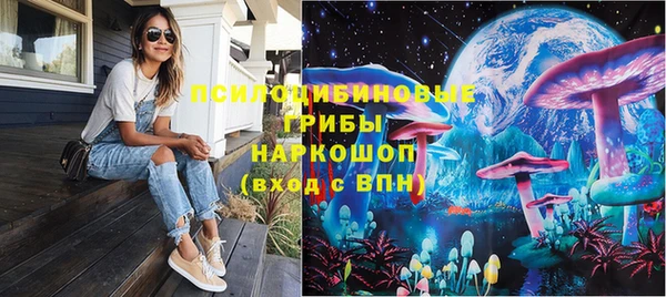 spice Арсеньев