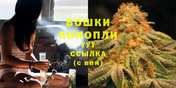 spice Арсеньев