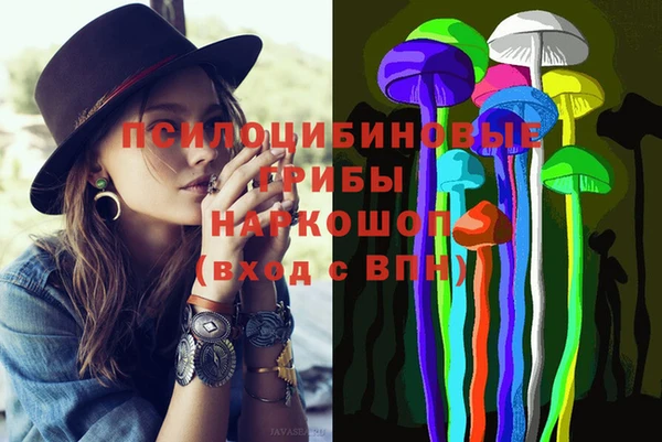 PSILOCYBIN Армянск